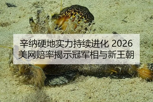 辛纳硬地实力持续进化 2026美网赔率揭示冠军相与新王朝